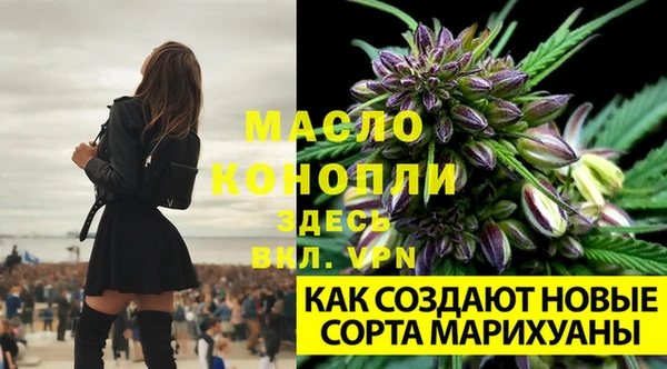 каннабис Майский