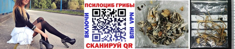 Псилоцибиновые грибы мухоморы  Тосно 