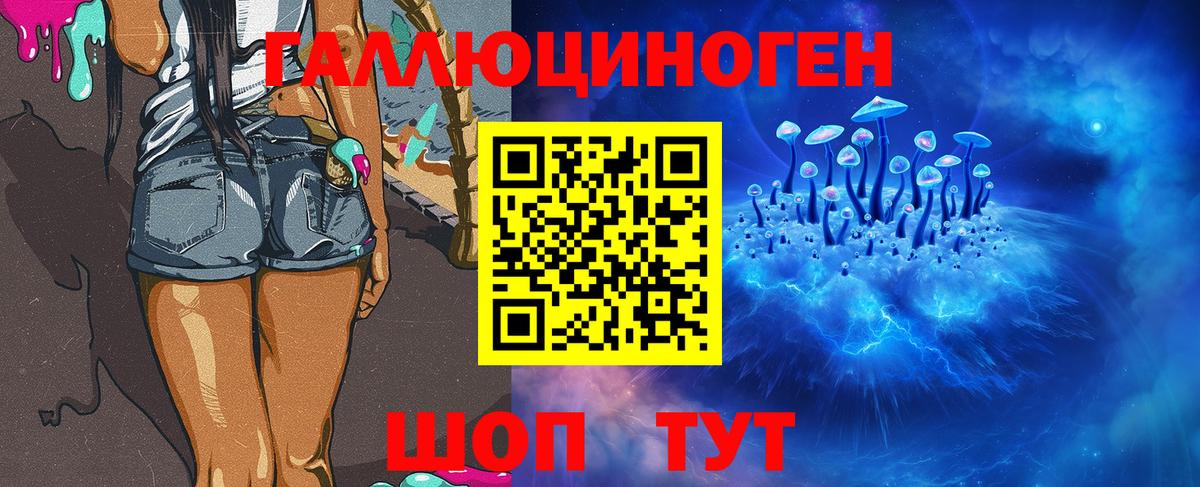 Тосно  Псилоцибиновые грибы Psilocybe  Вход с VPN 