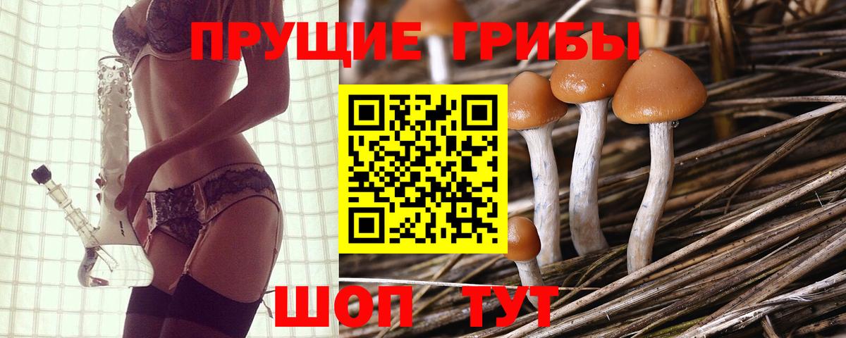 Псилоцибиновые грибы мухоморы Тосно